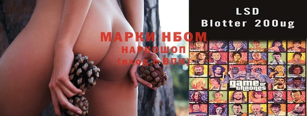 крисы Армянск