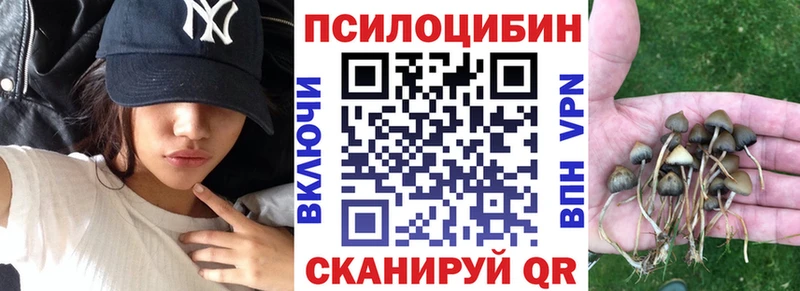 Псилоцибиновые грибы Magic Shrooms  закладка  нарко площадка состав  Перевоз 