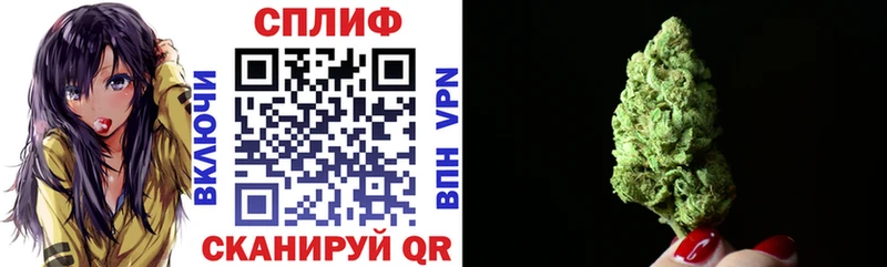 Конопля Bruce Banner Перевоз